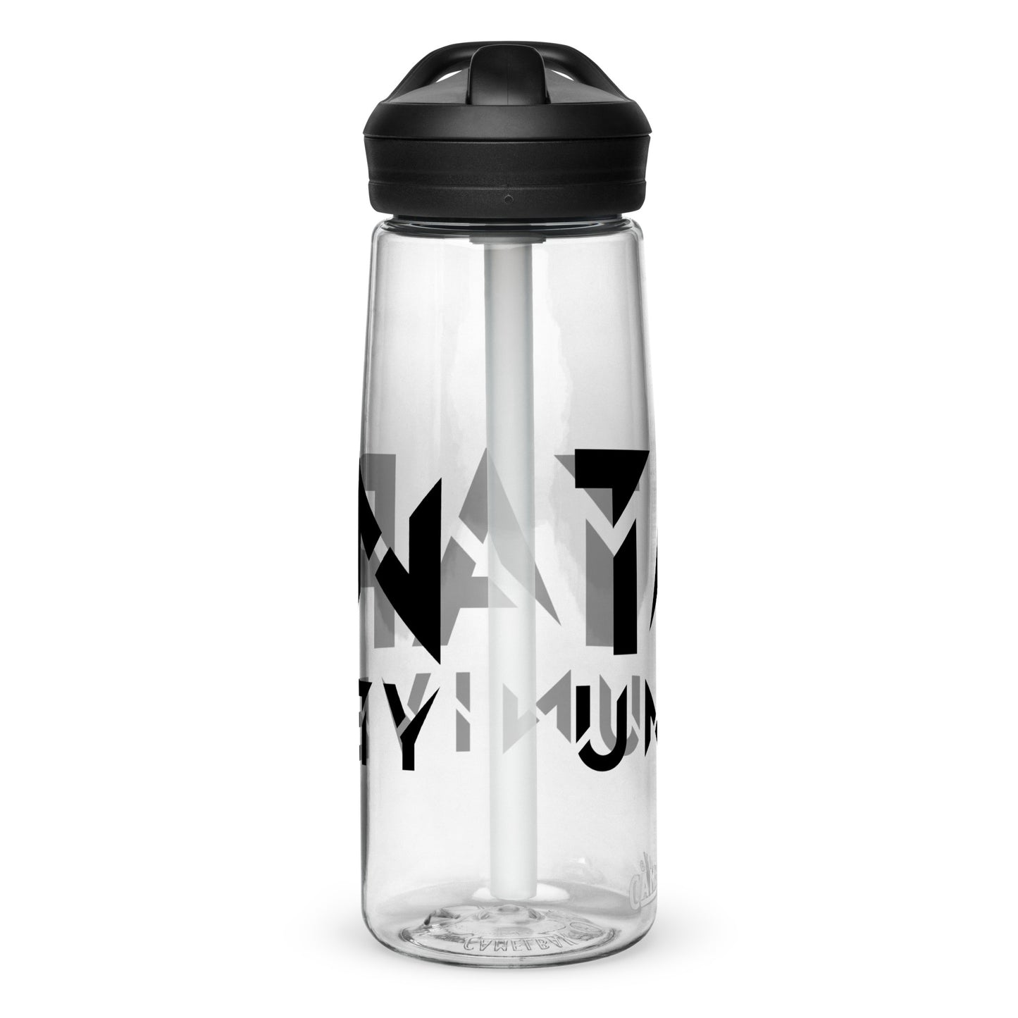 Sports water bottle